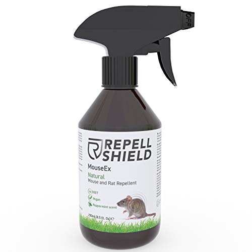 REPELL SHIELD Spray Ahuyentador de Ratones - Repelente de Roedores para Exterior e Interior con Aceite de Menta - Repelente de Ratas Alternativo al Repelente Ultrasonico y Veneno para Ratas - 250 ml