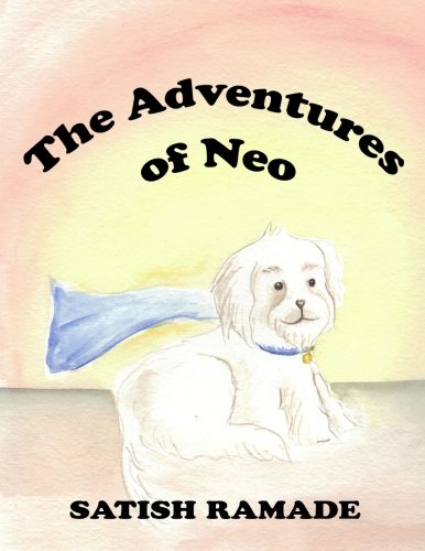 The Adventures of Neo