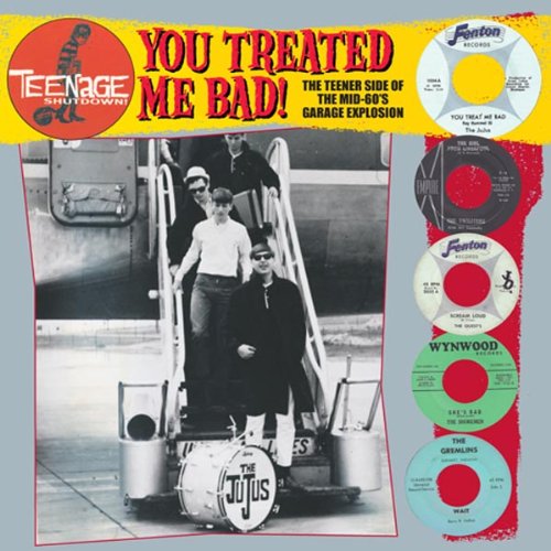 You Treated Me Bad! (The Teener Side Of The Mid 60's Garage Explosion) [Vinilo]