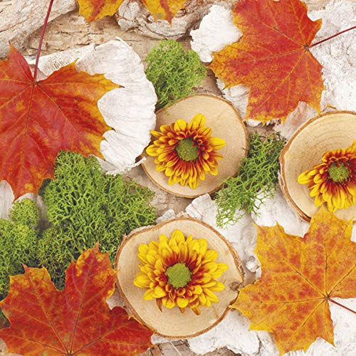 20 servilletas de hojas otoñales en rodajas de árbol, arce, otoño, decoración de mesa, 33 x 33 cm