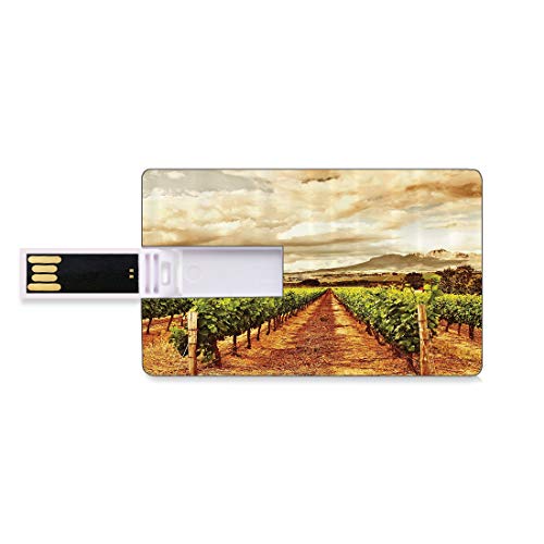 64GB Unidades Flash USB Flash País Forma de Tarjeta de crédito bancaria Clave Comercial U Disco de Almacenamiento Memory Stick Grape Valley Clouds Over Vineyard Fruit Plantation Impresión Digital,Cor