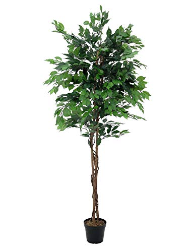 artplants.de Set 'Ficus benjamina Falso + Spray de protección UV' - Ficus Artificial JACOPO, Troncos Naturales, Verde, 150cm