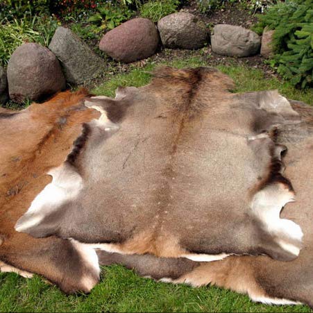 Gran ciervo rojo piel piel piel taxidermia ornamento alfombra alfombra piso decoración colgante de pared diseño gótico para el hogar