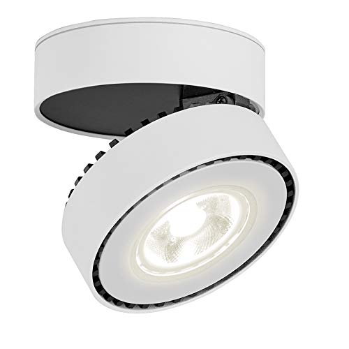 LANBOS 12W Lámpara de techo LED,Foco LED para techo y pared, Focos para el techo,Lámpara de pared,Luz de techo led,Plafón con Focos,Orientable, IP20, 10X6CM (blanco+Blanco Neutra)