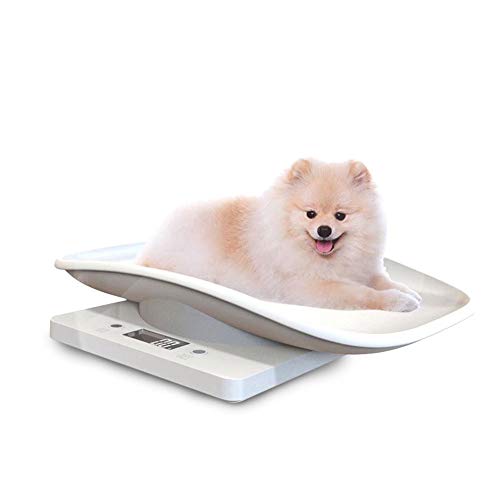 Lorcoo Báscula digital para mascotas, báscula de peso de alimentos, capacidad de hasta 10 kg, luz de fondo blanco, para medir perros pequeños y gatos