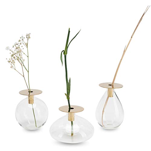 LUUK LIFESTYLE Juego de decoración de jarrón de Vidrio Filigrana, diseño de Bola, jarrón de Vidrio pequeño, jarrón de Bola de Vidrio, jarrón de decoración, Vidrio Redondo, latón Dorado LUUK LIFESTYLE Juego de decoración de jarrón de Vidrio Filigrana, diseño de Bola, jarrón de Vidrio pequeño, jarrón de Bola de Vidrio, jarrón de decoración, Vidrio Redondo, latón Dorado