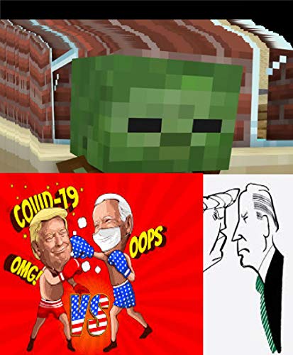 Minecraft Jokes (Trump & Biden) v34 (English Edition)