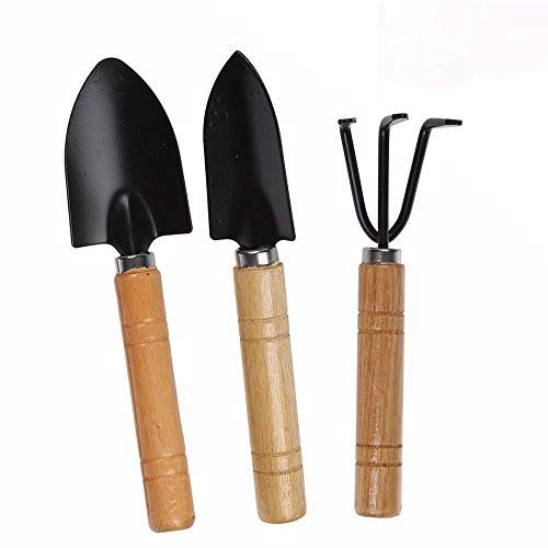 OFKPO Set de 3 de Mini Jardín Planta Herramienta Jardín Pala, Mango de Madera Herramientas de Jardinería Mini Conjunto OFKPO Set de 3 de Mini Jardín Planta Herramienta Jardín Pala, Mango de Madera Herramientas de Jardinería Mini Conjunto