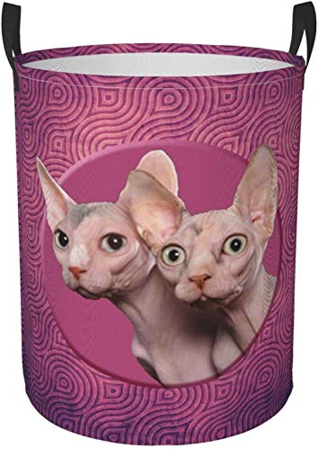 Papelera redonda del organizador de la cesta de almacenamiento del cesto de lavandería circular del papel pintado del gato sin pelo