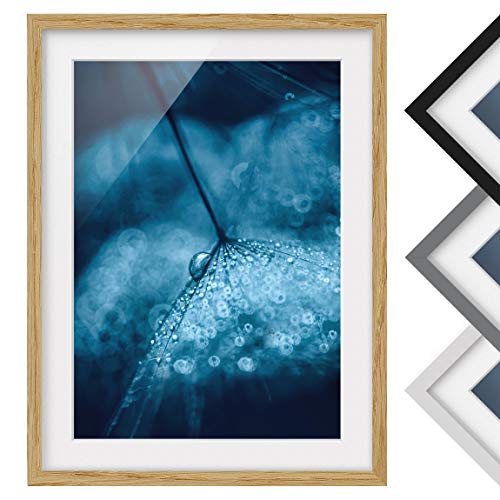 Póster Enmarcado - Blue Dandelion In Rain - Color Madera de encina 100x70cm