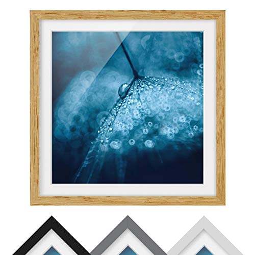 Póster Enmarcado - Blue Dandelion In The Rain, Color Madera de encina 70 x 70cm