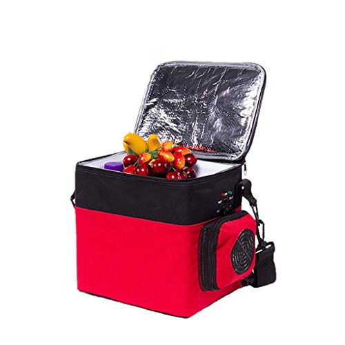 QIHANGCHEPIN Bolso portátil del congelador del Viaje de la conexión del Coche 6L, pequeño refrigerador Multifuncional portátil Ligero con 12V Car Cable Que Carga para Acampar, Viaje de la Playa QIHANGCHEPIN Bolso portátil del congelador del Viaje de la conexión del Coche 6L, pequeño refrigerador Multifuncional portátil Ligero con 12V Car Cable Que Carga para Acampar, Viaje de la Playa
