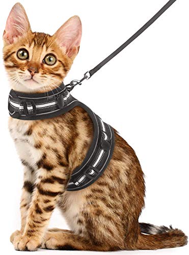 rabbitgoo Arnes Gato Antiescape,Arnés para Gato de 2 Hebilla con Correa 150CM Ajustable con Reflectantes de Tela de Malla Suave y Transpirable para Caminar,Gato Mediano y Pequeño M Negro rabbitgoo Arnes Gato Antiescape,Arnés para Gato de 2 Hebilla con Correa 150CM Ajustable con Reflectantes de Tela de Malla Suave y Transpirable para Caminar,Gato Mediano y Pequeño M Negro