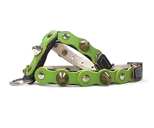 Superpipapo Original Arnés para Perro de Cuero Negro y Verde, Correa Opcional, Piel de Calidad, Hecho a Mano en España, Mediano, M: Cuello 27-32 cm, Pecho 42-47 cm Superpipapo Original Arnés para Perro de Cuero Negro y Verde, Correa Opcional, Piel de Calidad, Hecho a Mano en España, Mediano, M: Cuello 27-32 cm, Pecho 42-47 cm