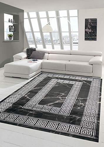 Teppich-Traum Alfombra Salón Aspecto mármol con Borde clásico en Plata Negro Größe 120x170 cm