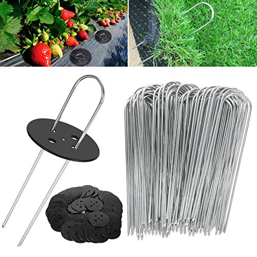 WOKKOL Grapas para Jardin, Piquetas, Piquetas Camping, Malla Antihierbas 2.5 mm de Grosor, 15 cm/2.5 cm, para Asegurar la Tela de Malezas, Mallas(50 Clavijas de Jardín/50 Arandelas de Seguridad) WOKKOL Grapas para Jardin, Piquetas, Piquetas Camping, Malla Antihierbas 2.5 mm de Grosor, 15 cm/2.5 cm, para Asegurar la Tela de Malezas, Mallas(50 Clavijas de Jardín/50 Arandelas de Seguridad)