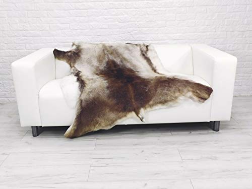 World of Sheepskins R403 - Alfombra de reno, piel de reno, estilo escandinavo World of Sheepskins R403 - Alfombra de reno, piel de reno, estilo escandinavo