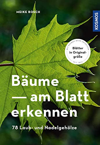 Bäume am Blatt erkennen (German Edition)
