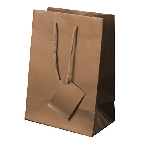 BOLSA REGALO PAPEL PLASTIFICADO ORO, BOLSA REGALO, (LOTE 20 UD) (Oro) BOLSA REGALO PAPEL PLASTIFICADO ORO, BOLSA REGALO, (LOTE 20 UD) (Oro)