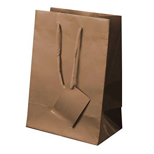 BOLSA REGALO PAPEL PLASTIFICADO ORO, BOLSA REGALO, (LOTE 20 UD) (Oro)