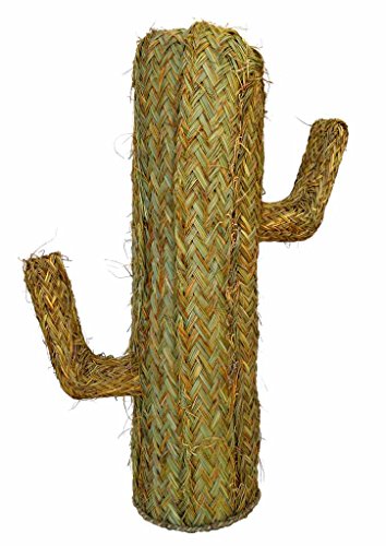 Cactus de Esparto - BicocaWeb (100 cm, 40)