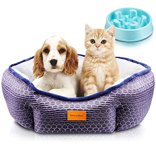 Cama Gato, Cama Perro Pequeño, Cama para Mascotas con Suave Cojín Desmontable, Lavable a Máquina, Sofá Cama para Gatos y Perros Pequeños y Medianos (M: 60 * 60 * 18 cm) + Comedero Lento Para Perros