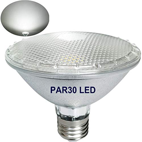 Cristal reflector PAR30 LED blanco frío 6000 K, 12 W, no regulable, luz blanca fría, impermeable, E27, para exteriores e interiores (equivalente a 60 W-100 W halógeno/incandescente)