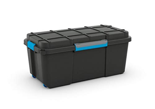 Curver Caja Ordenacion Scuba Box, Negro y Azul, L