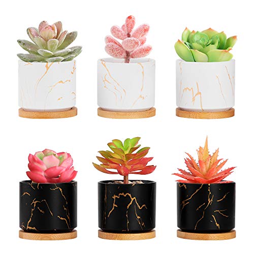 Danolt Macetas de Suculentas de Cerámica Conjunto de 6 Cactus Flor Macetas Envase, Mini maceta de cerámica con Bandejas de Bambú