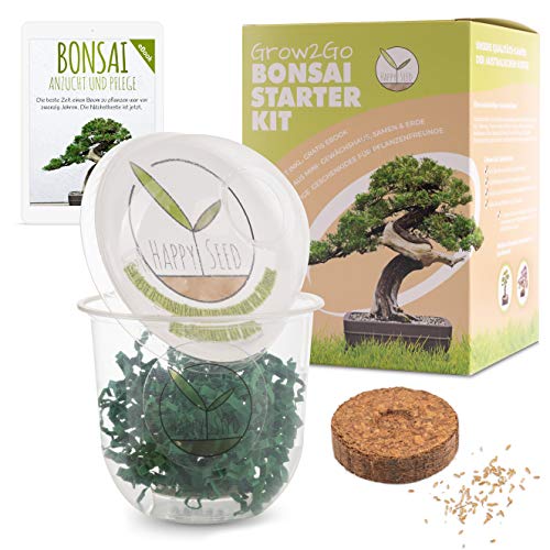 GROW2GO Bonsai Kit incl. eBook GRATUITO - Set con mini invernadero, semillas y tierra - idea de regalo sostenible para los amantes de las plantas (Pino Australiano)