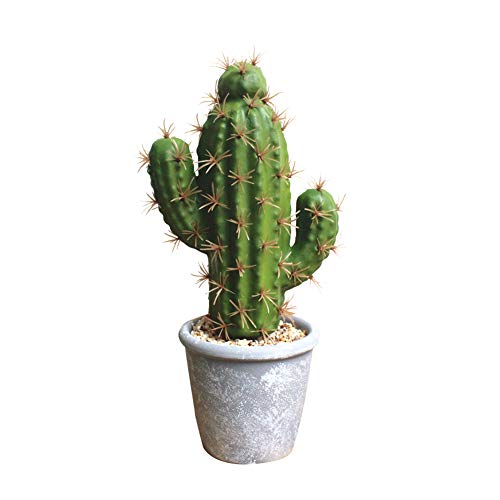 Homeofying Bonsái artificial de cactus suculento para manualidades, escenario, jardín, vacaciones, hogar, fiesta, decoración en maceta, planta artificial con maceta 2
