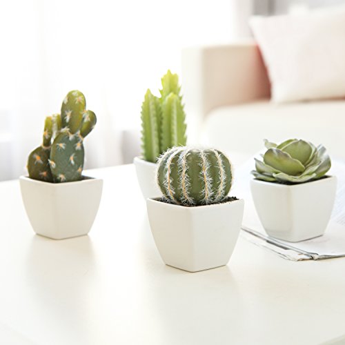 Juego de 4 Mini & Cactus suculentas Artificial Plantas en macetas de cerámica color blanco cuadrado, por MyGift