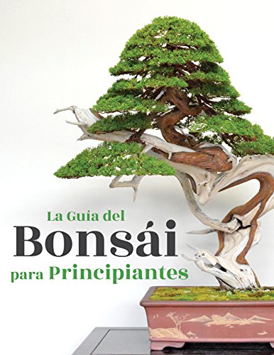 La Guía del Bonsái para Principiantes