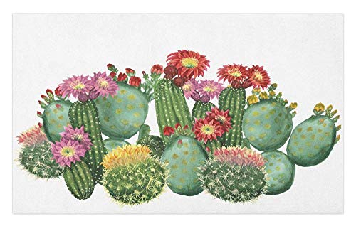 LDHHZ Felpudo con diseño de cactus Saguaro Cask Hedge Hog Prickly Pear Opuntia Tropical Botany Jardín Plantas Estampado Decorativo Poliéster Alfombra de Piso 40 x 60 cm
