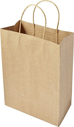 Papier sacs 30 x 22 x 11 cm Lot de sacs en papier au choix poches marron poches Sacs en papier en papier recyclées 30 x 22 x 11 cm Braun 10 Stück
