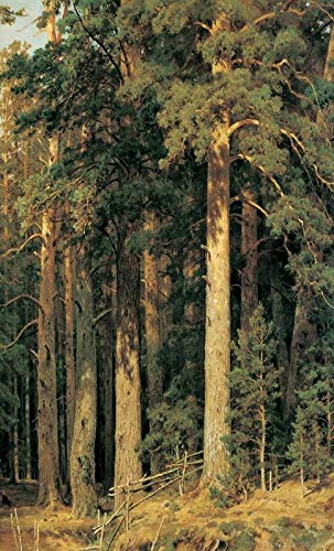 Pintura Decorativa de Bosque de pinos, Pintura Decorativa de jardín acrílico, Pintura Impresa en HD Grande sobre Lienzo, póster