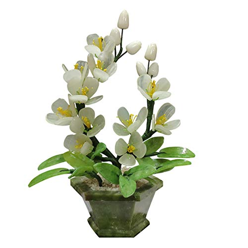 Plantas de imitación Plantas artificiales Fake Bonsai Tree Jade Orchid Bonsai Pantalla de escritorio Bonsai Artificial, Zen Garden Decor Plant para la decoración de la oficina en el hogar Plantas Arti Plantas de imitación Plantas artificiales Fake Bonsai Tree Jade Orchid Bonsai Pantalla de escritorio Bonsai Artificial, Zen Garden Decor Plant para la decoración de la oficina en el hogar Plantas Arti