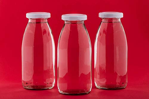 slkfactory - Botellas de Cristal vacías (24 Unidades, 250 ml, con tapón de Rosca, 0,25 L)