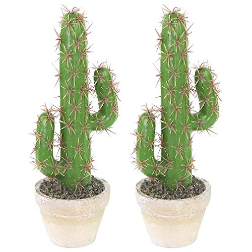 Vaorwne 2 Piezas de PláStico Artificial Cactus Suculentas Nopal Planta en Maceta SimulacióN Hogar Oficina DecoracióN de Escritorio