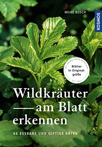 Wildkräuter am Blatt erkennen: 64 essbare Arten (German Edition)