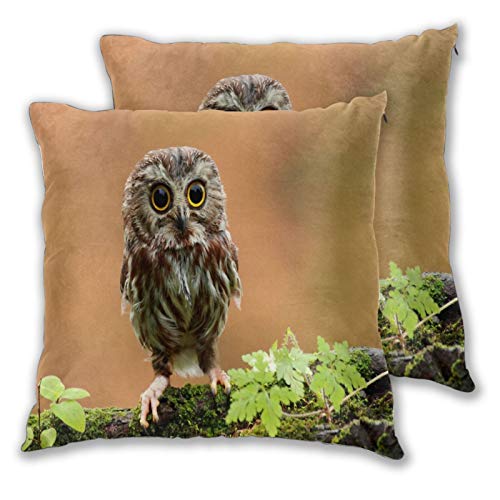 ALLMILL Juego de 2 Decorativo Funda de Cojín,Baby Owl Cute Bird Bosque Ojos,Funda de Almohada Cuadrado para Sofá Cama