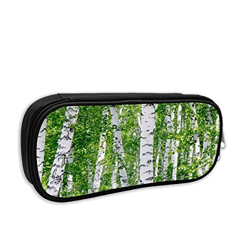 AOOEDM Estuche de lápices para la escuela de moda, árboles de abedul blanco en el bosque en verano, bolso para bolígrafo C, bolsa de papelería para material escolar y de oficina AOOEDM Estuche de lápices para la escuela de moda, árboles de abedul blanco en el bosque en verano, bolso para bolígrafo C, bolsa de papelería para material escolar y de oficina