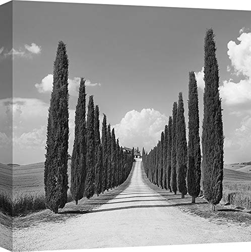 ART PRINT CAFE' – Cuadro en Canvas, Foto de Paisaje Italiano, impresión sobre Lienzo – Frank Krahmer, Callejón de cipreses, San Quirico d'Orcia, Toscana - 40x40 cm