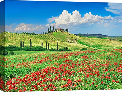 ART PRINT CAFE' – Cuadro en Canvas, Paisaje Italiano, impresión sobre Lienzo – Frank Krahmer, Cortijo con cipreses y Amapolas, Val d'Orcia, Toscana– 70x50 cm