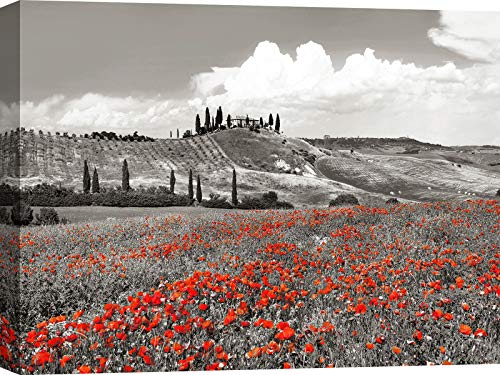 ART PRINT CAFE' – Cuadro en Canvas, Paisaje Italiano, impresión sobre Lienzo – Frank Krahmer, Cortijo con cipreses y Amapolas, Val d'Orcia, Toscana (BW) – 100x70 cm