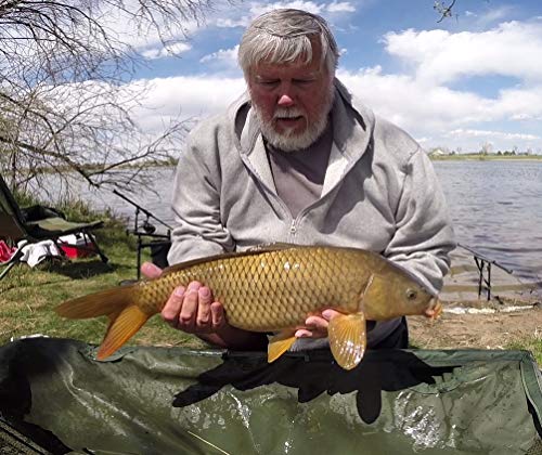 Carp Fishing Colorado - Annual Pictorial Review 2019 (English Edition)
