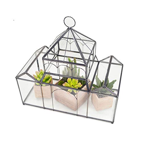 Cristal Moderno Plantas Caso Catedral terrario de Cristal Planter Wardian for suculento de Aire Musgo Helecho Tapa del Reptil geométrica de Envases de Vidrio Caja de Mesa