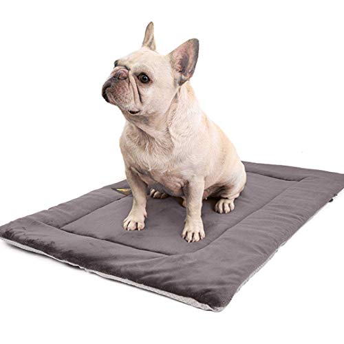 FayTun - Cojín térmico para cama de perro, lavable, apto para secadora y antideslizante, para mascotas, suave cama de perrera, cojín mullido para mascotas (M)