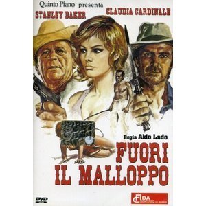 Fuori Il Malloppo [Italia] [DVD]
