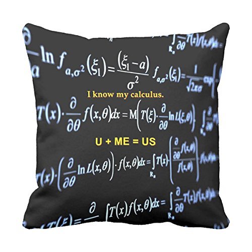 Gogoal Decorative Throw Pillows For Sofa Love Math Decorative Home Decor Decorative Pillow 18 X 18